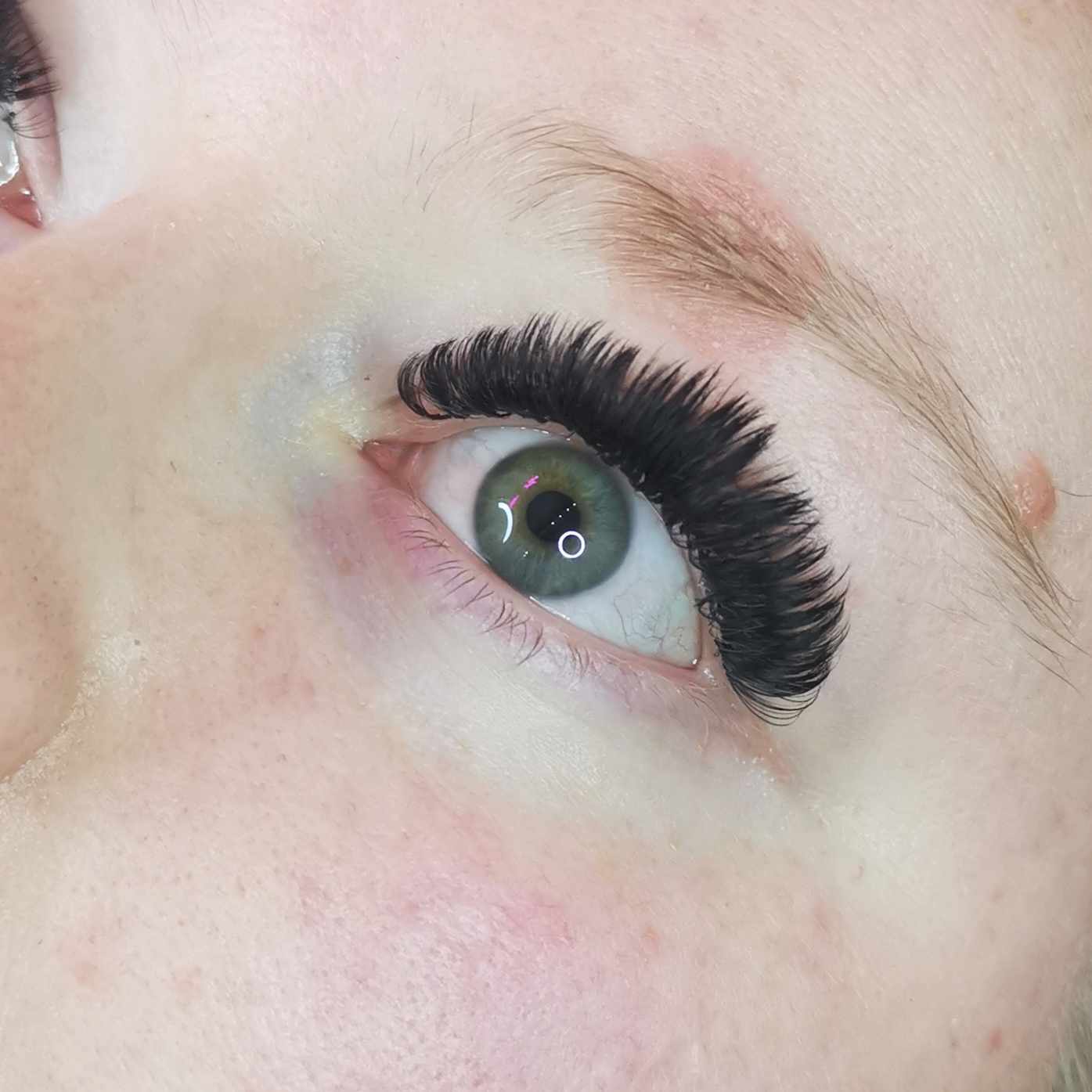 Easy Fans Sample Tray – Matte Black Lashes