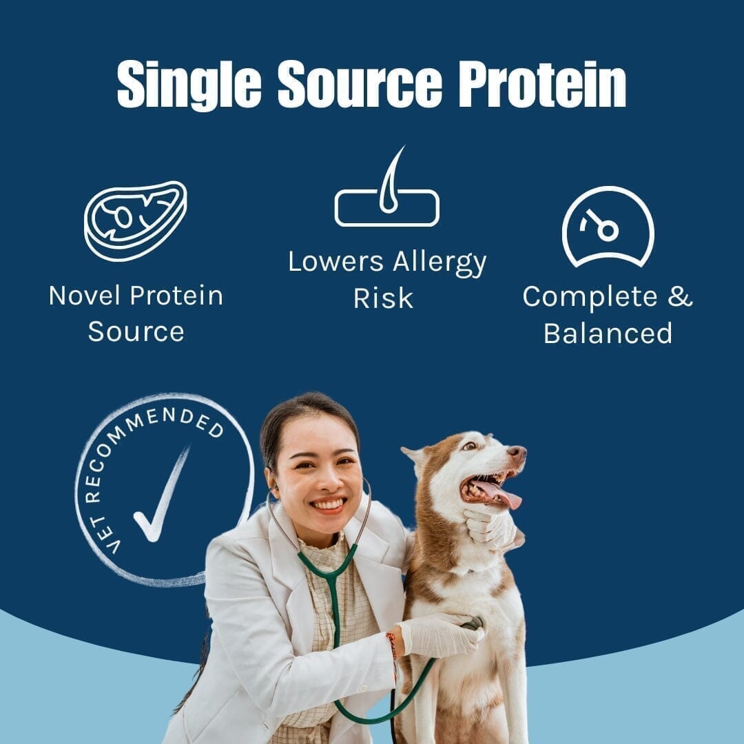 Sensitive Pure Lamb Wet Dog Food (New Zealand)