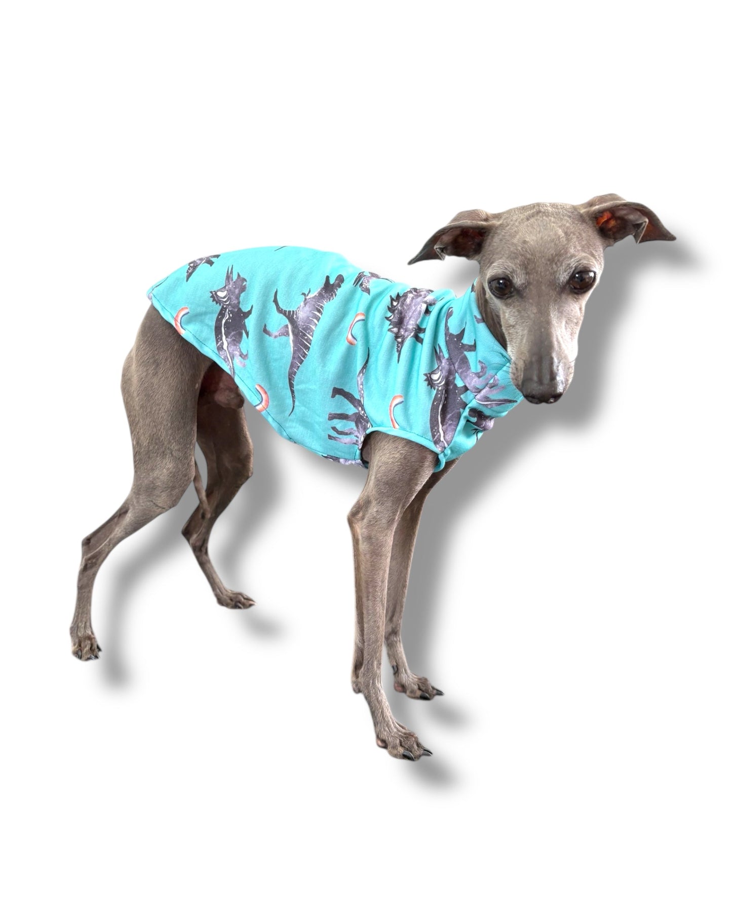 Jersey Vest - Blue Dinos