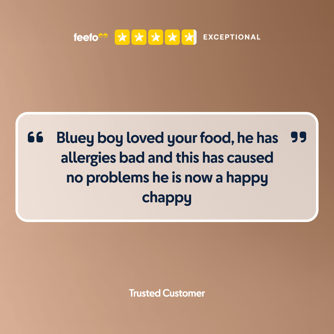 Mini Canada - Sensitive Dog