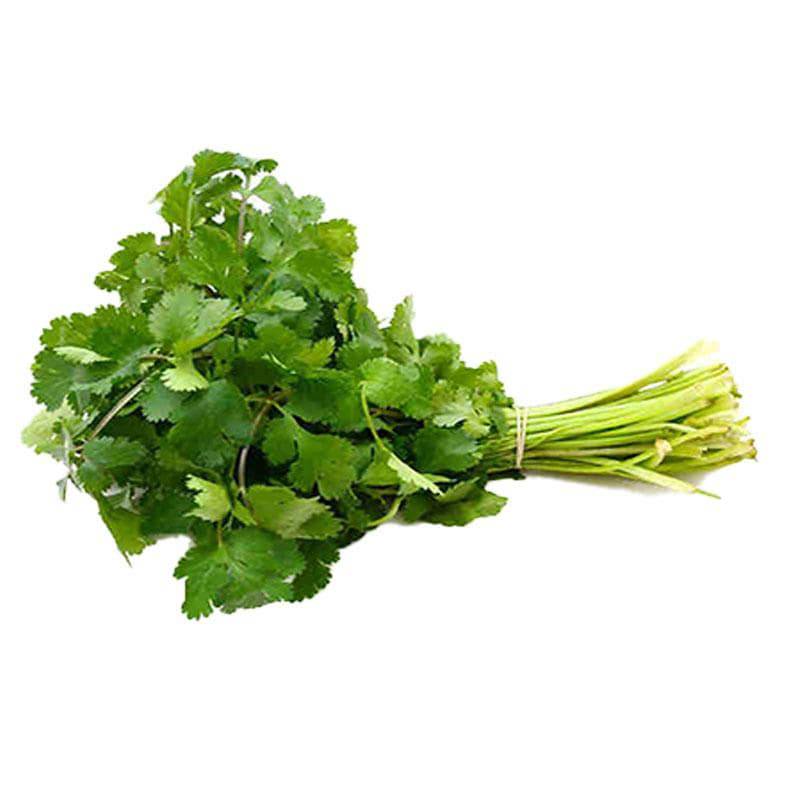 Fresh Coriander/Ngo Ri 100g