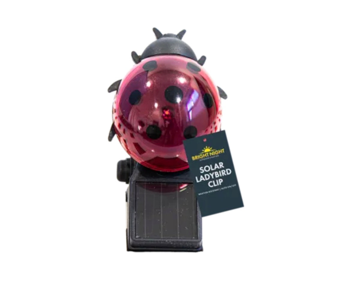 Solar powered ladybird clip