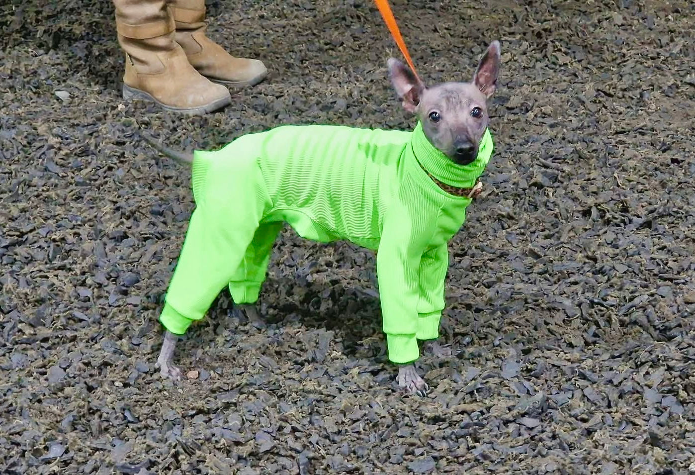 Ribbed Jersey - Hi-Visibility Yellow