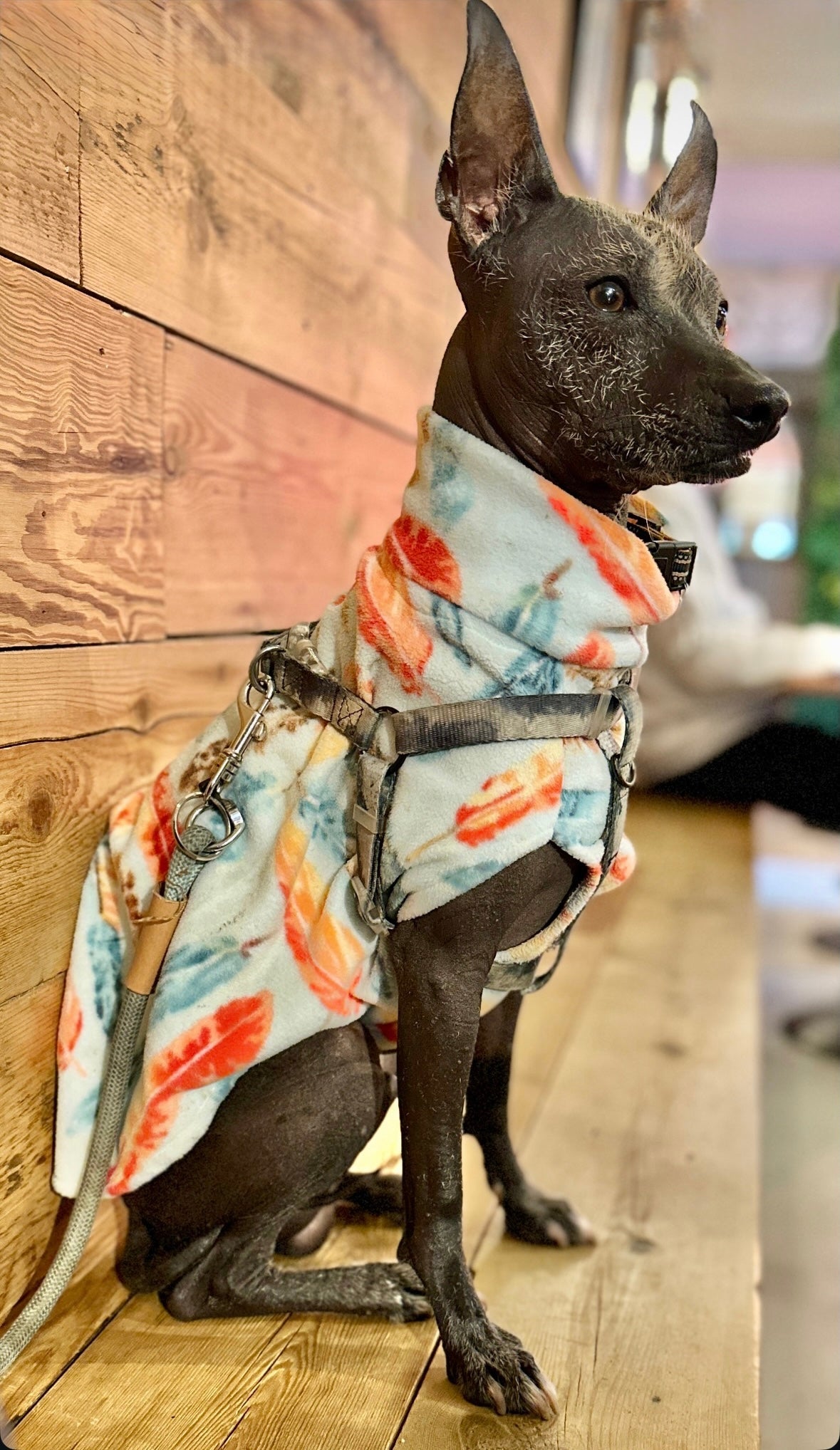 Fleece Vest - Baby Pink