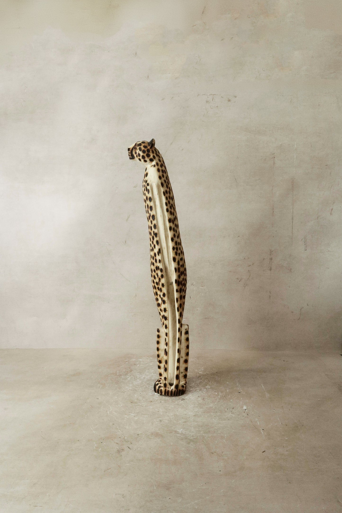 Swazi Cheetah - 37.1