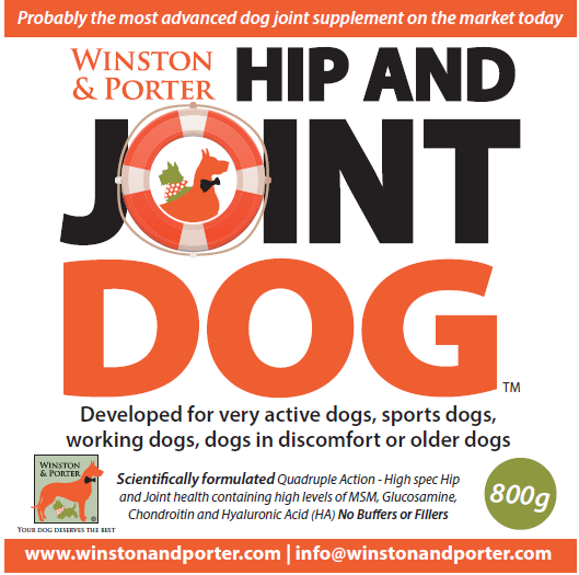 Hip and Joint Dog