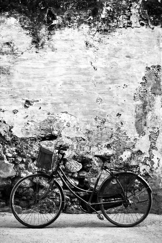 David Ballam - Ilha 21