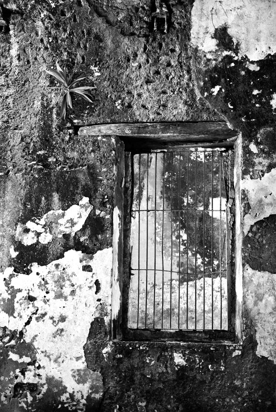 David Ballam - Ilha 61