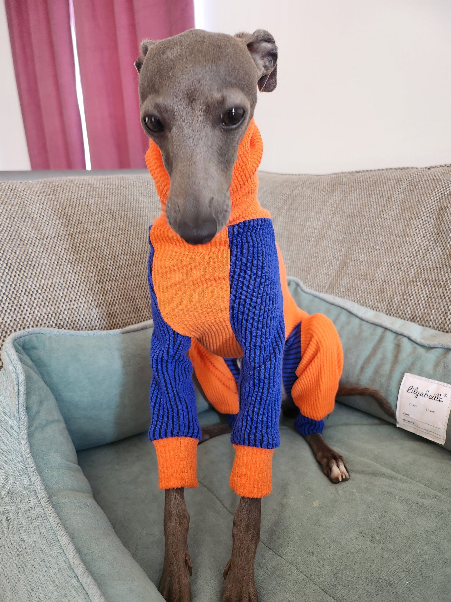 Ribbed Jersey Suit - Orangina