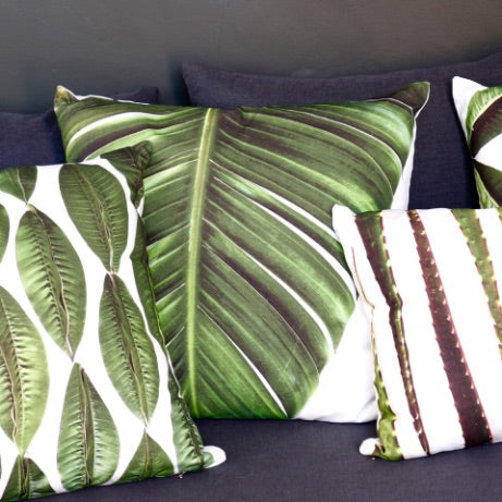 Wild Strelitzia
- Cushion Cover