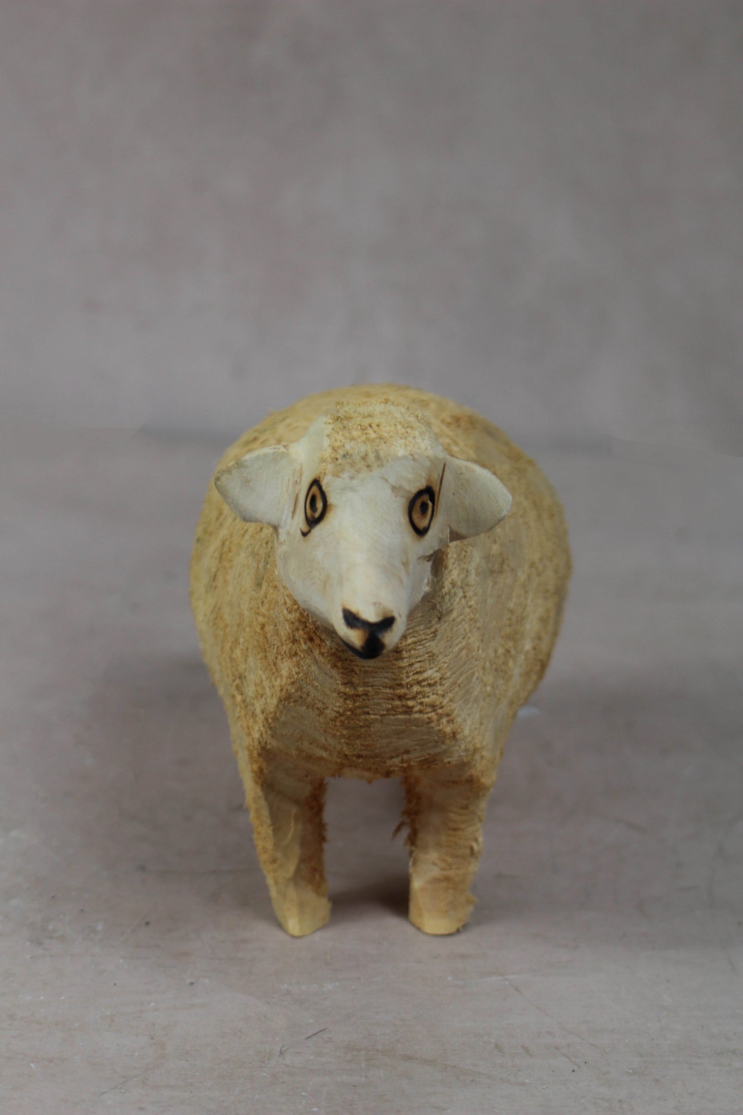 Swazi Sheep 141.3
