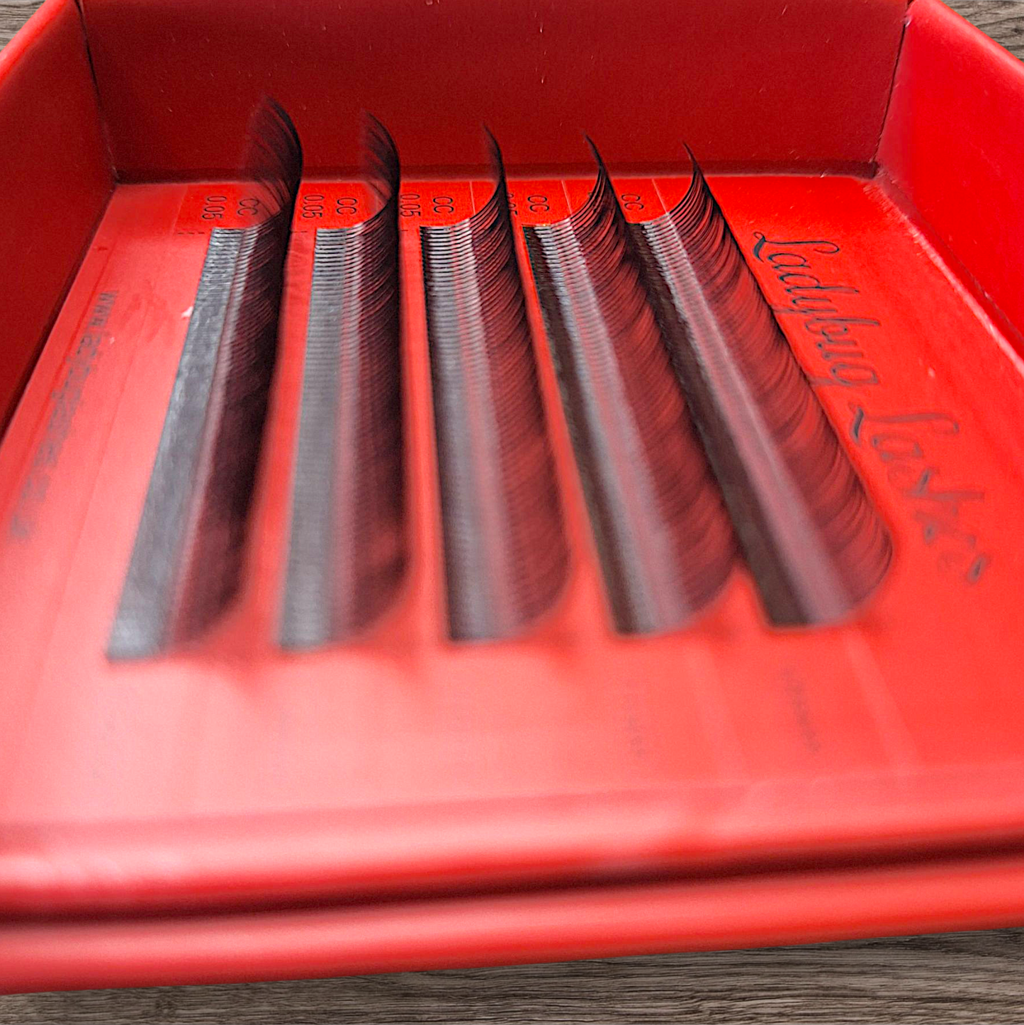 Sample Tray Pre-Made Angel Lash Fans