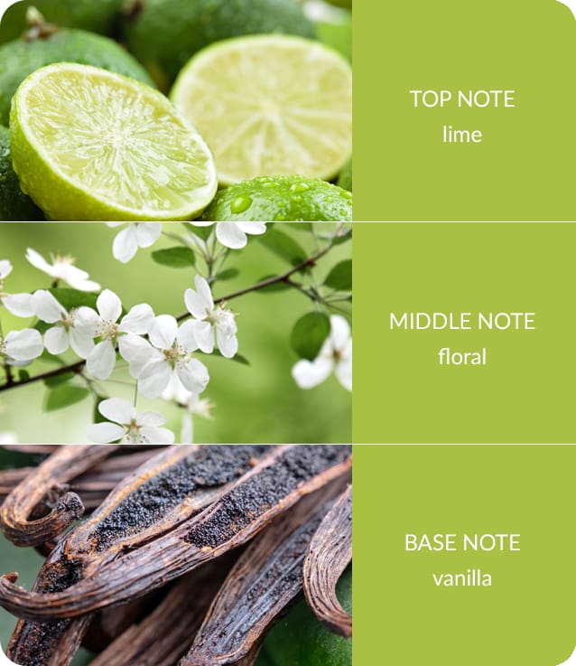 Heart & Home Lime Splash Twin Wick Ellipse Soy Candle - 40 Hours Burn