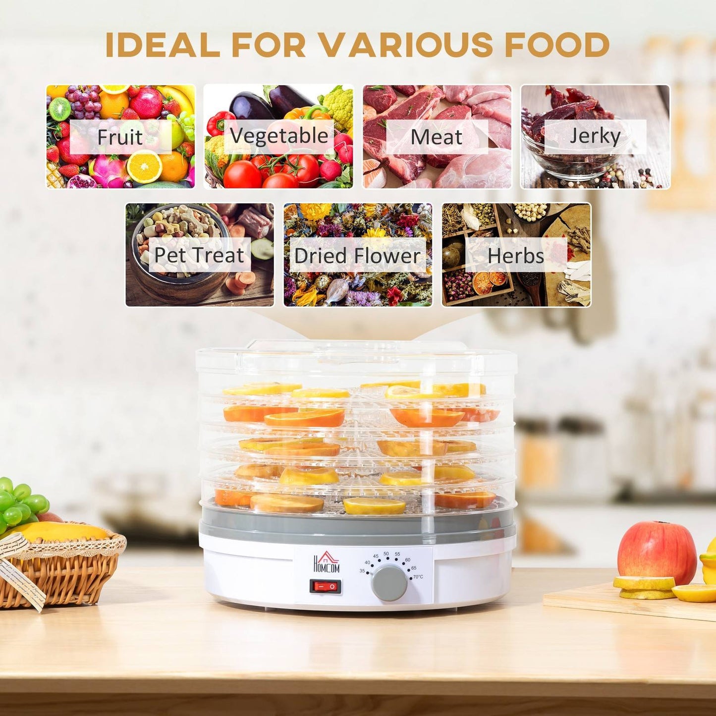 245W 5Kg Five Tray Food Dehydrator White by Homcom