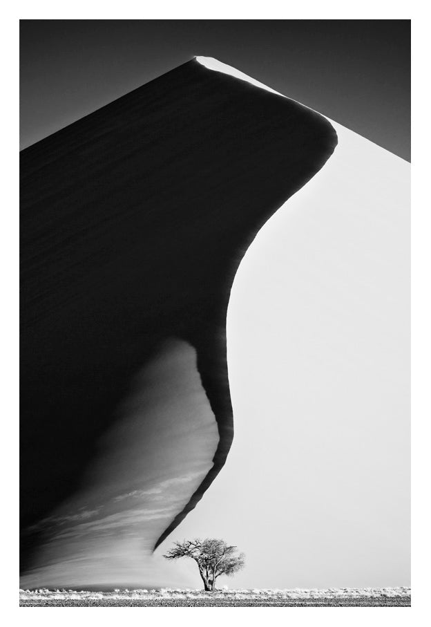 David Ballam - NAM01