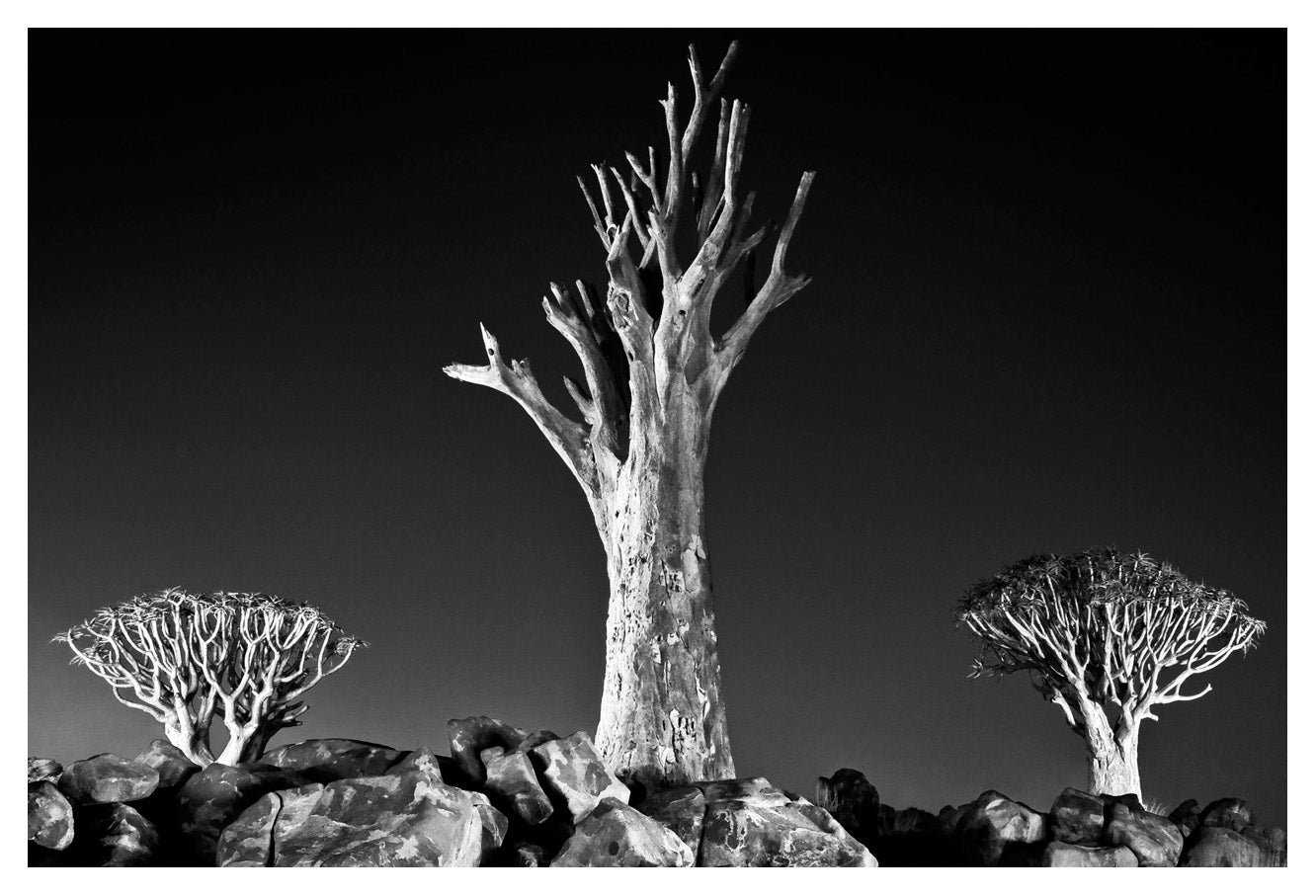 David Ballam - NAM16