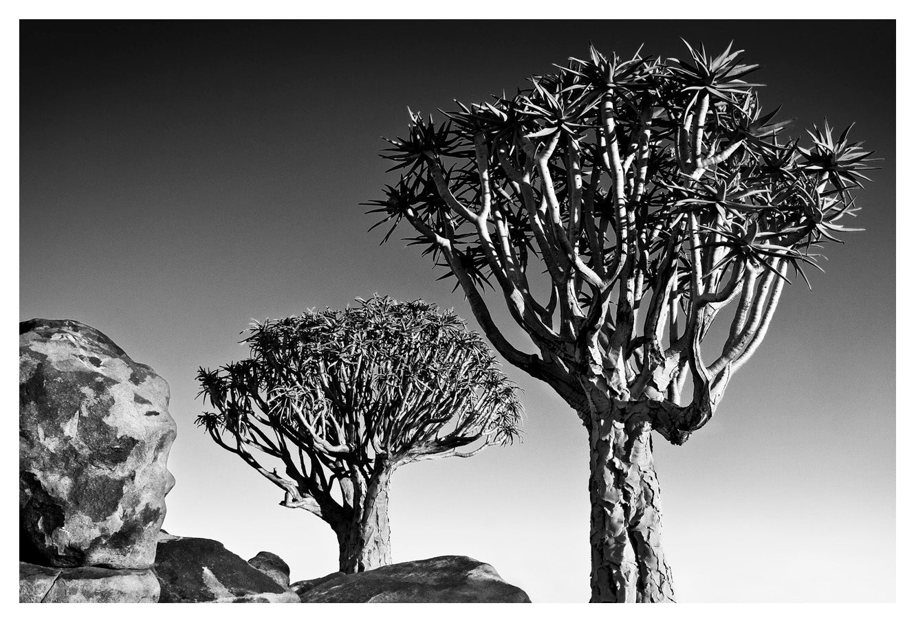 David Ballam - Namibia 17