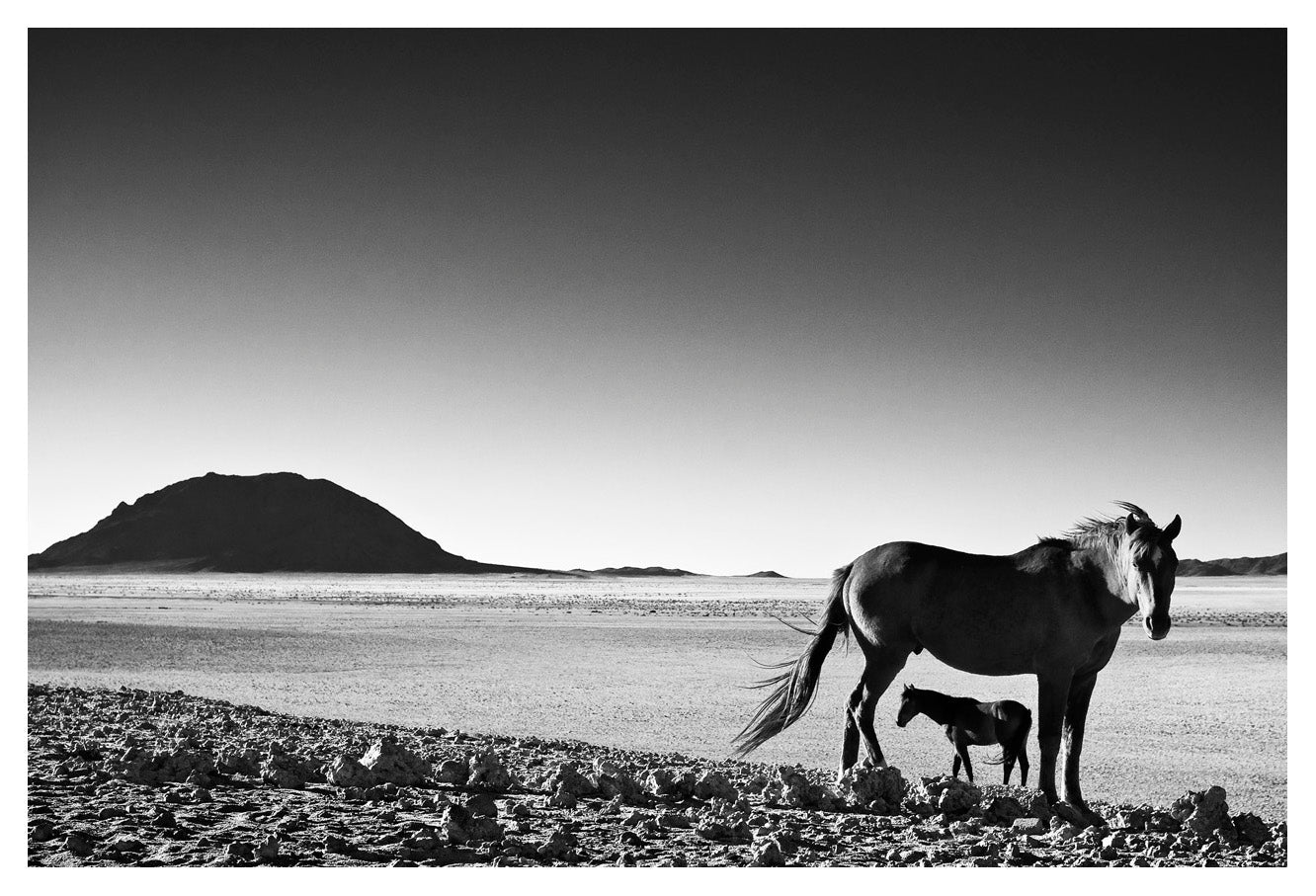 David Ballam - NAM26