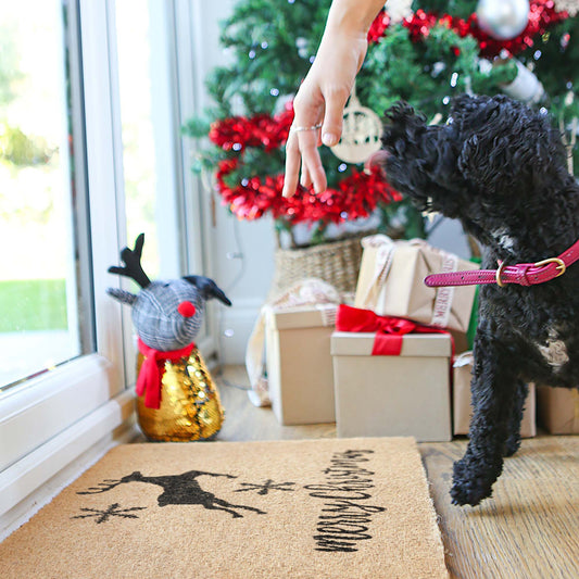 60cm x 40cm Reindeer Coir Door Mat