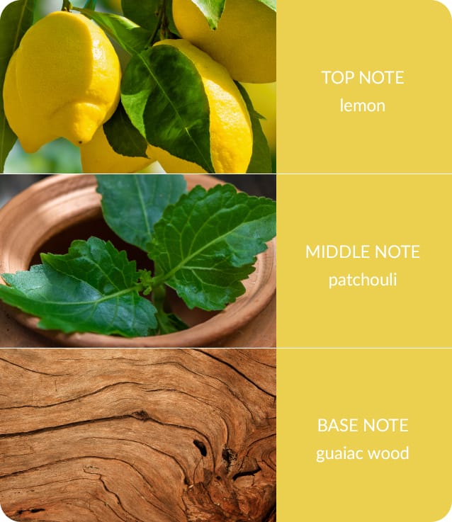 Patchouli & Guaiac Wood Fragrance Diffuser -140ml - Up to 16 Weeks of Fragrance