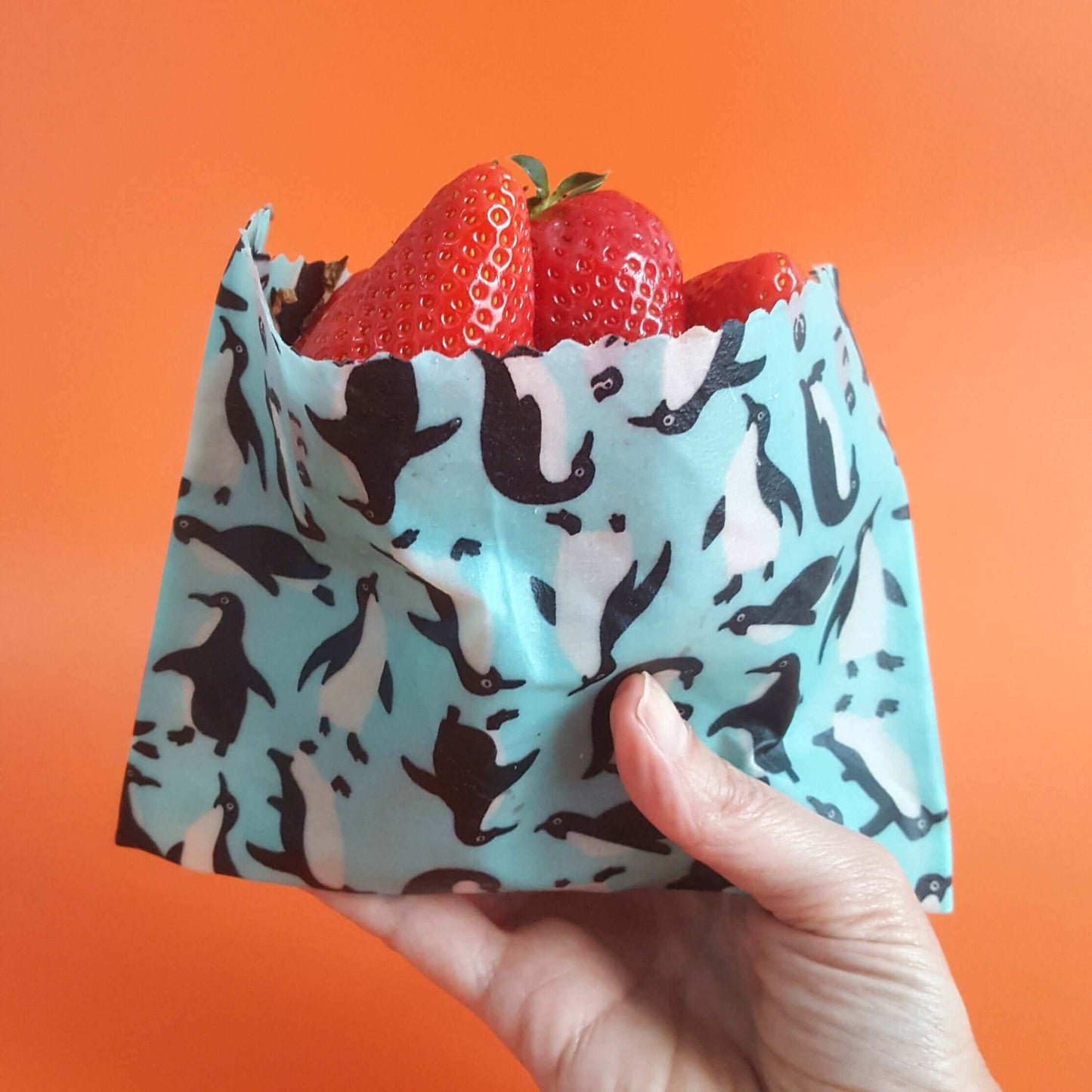 *Set of 3 Handmade Beeswax Wraps | Wings