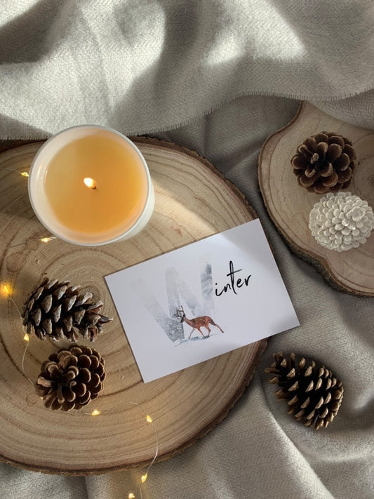 Winter Reindeer Winter Christmas Seasonal Wall Home Decor Print