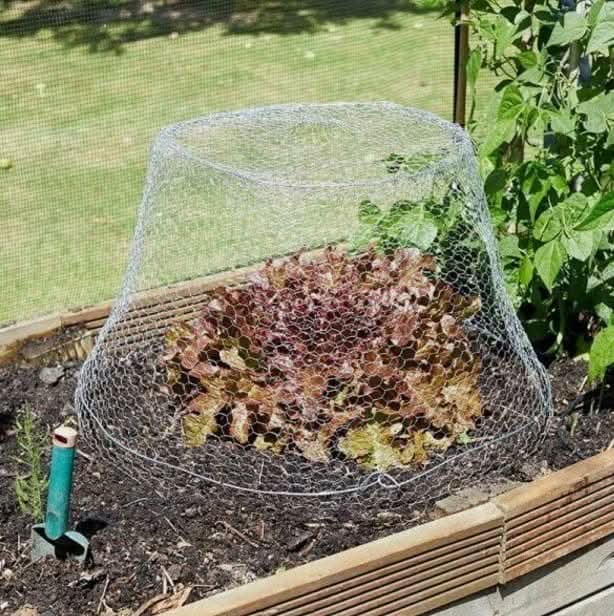 Galvanised Chicken Wire Mesh Hexagon Garden Fencing Coop