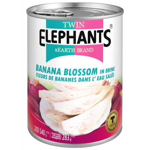 TWIN ELEPHANTS Banana Blossom In Brine (Slices) 540g