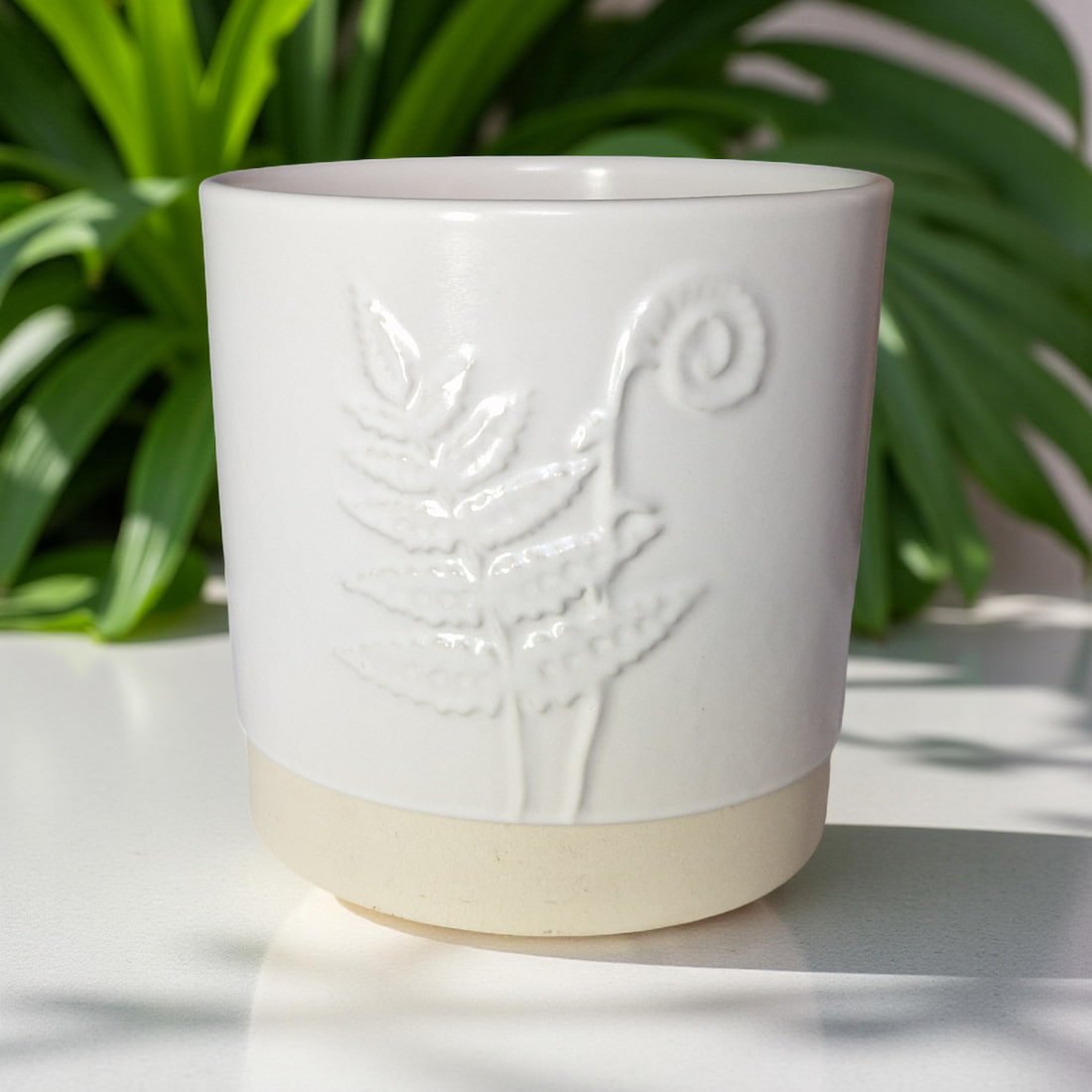 3-Wick Candle in White Ceramic Fern Pot | Velvet Tonka
