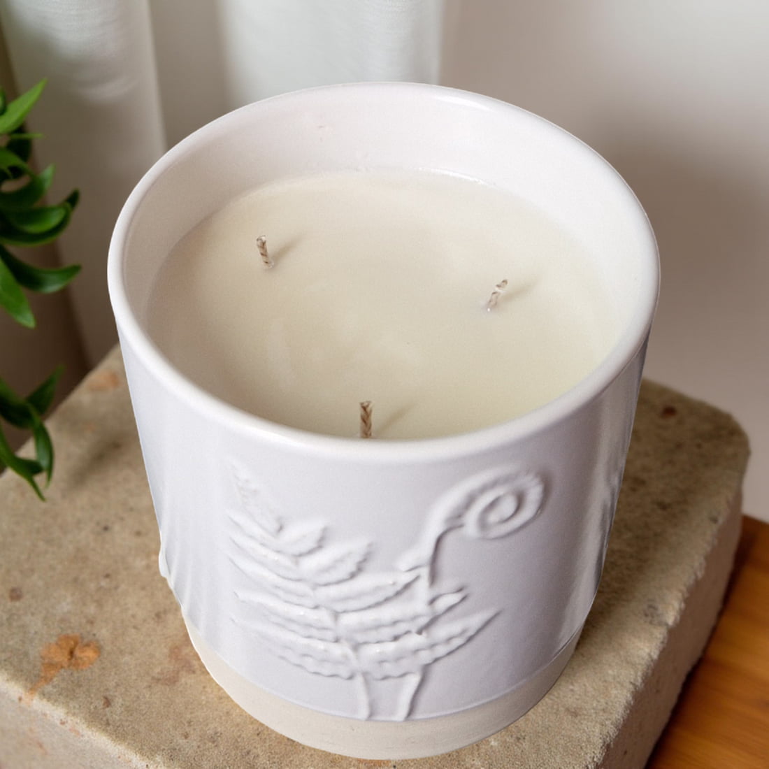 3-Wick Candle in White Ceramic Fern Pot | Velvet Tonka