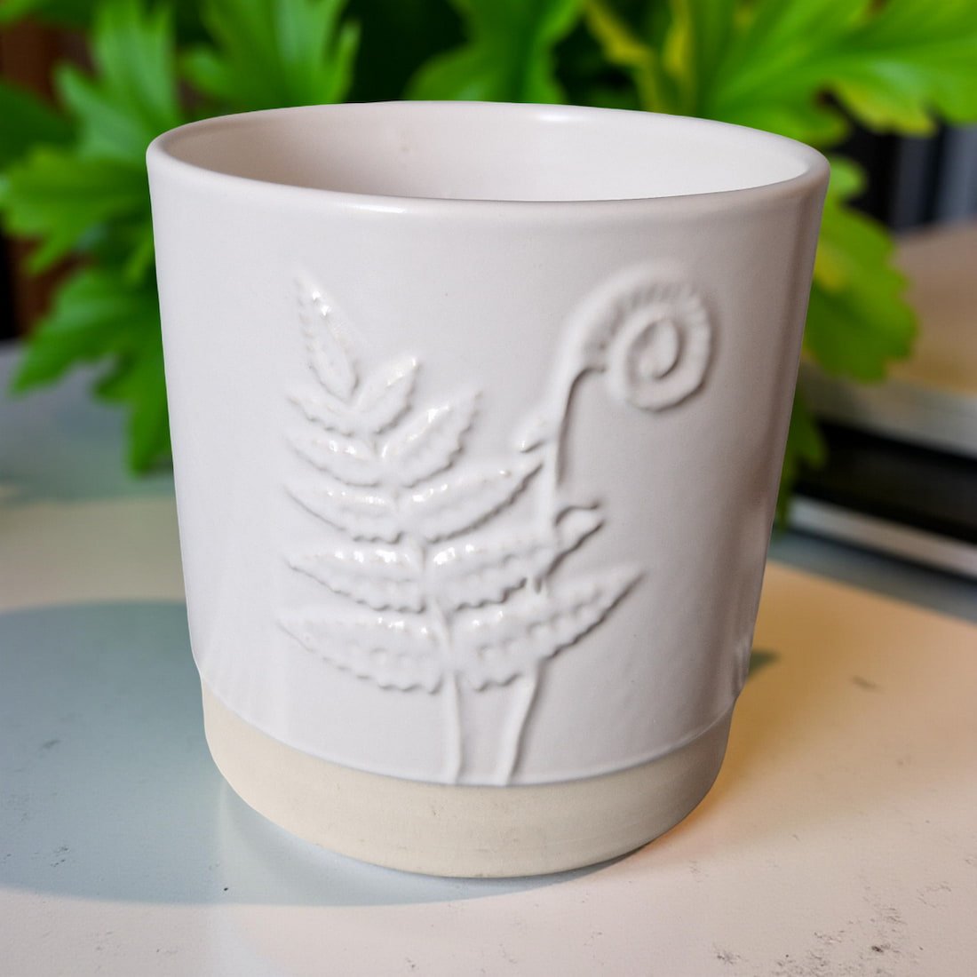 3-Wick Candle in White Ceramic Fern Pot | Velvet Tonka