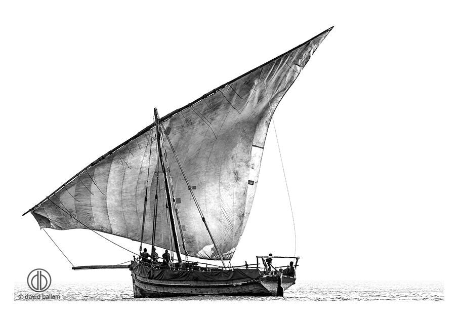 David Ballam - ZAN_02