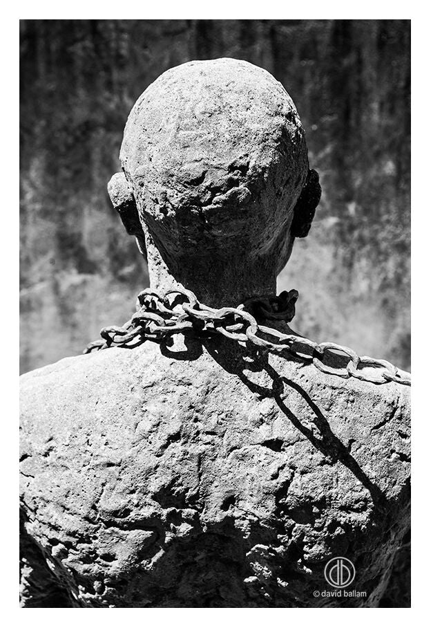 David Ballam - ZAN_10