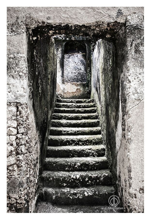 David Ballam - ZAN_12