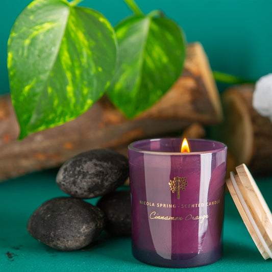 130g Cinnamon Orange Soy Wax Scented Candle