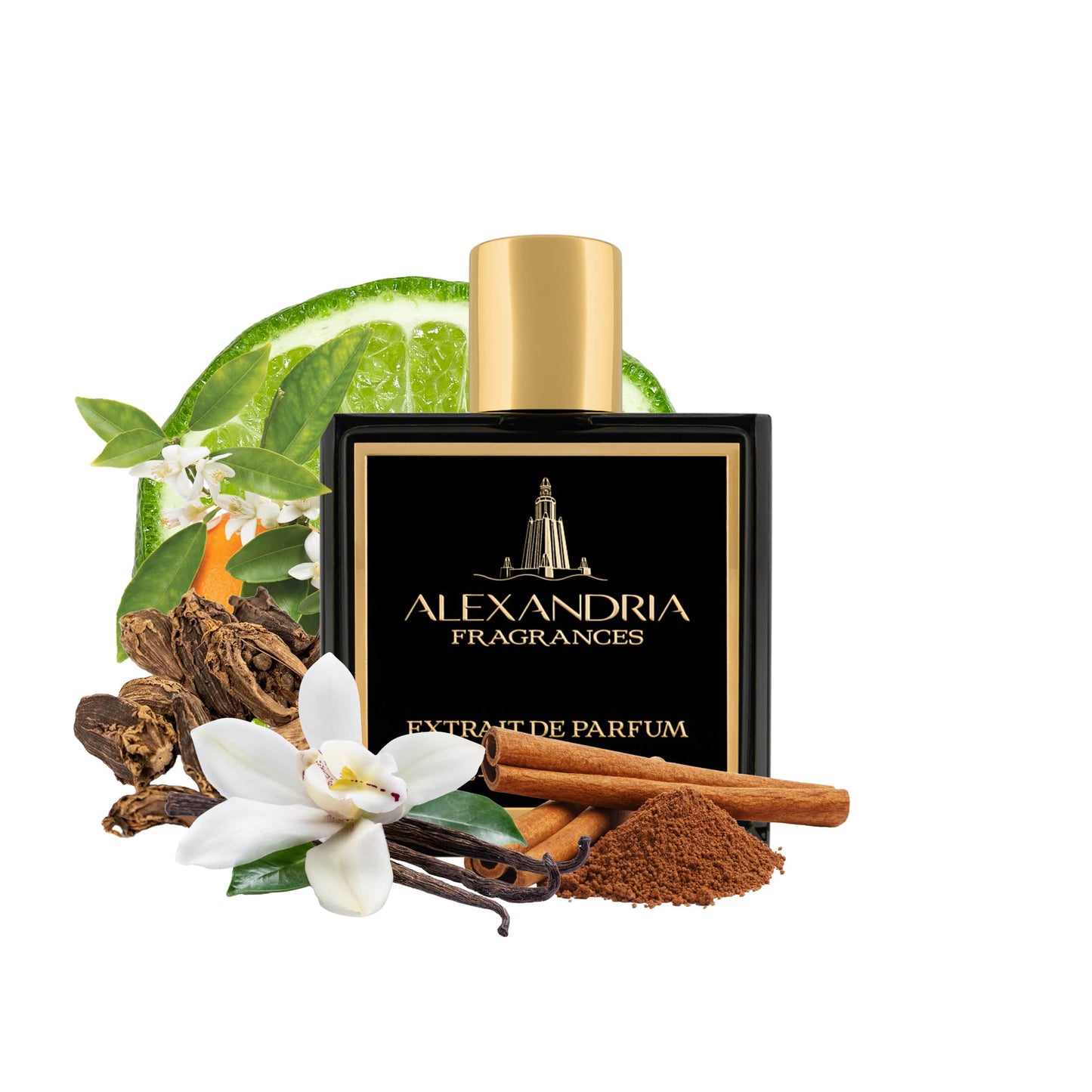 Vanilla Stallion Inspired by Althaïr, Parfums de Marly  | Dupe | Clone | Alternative | Luxury | Quality | Copy Extrait de Parfum