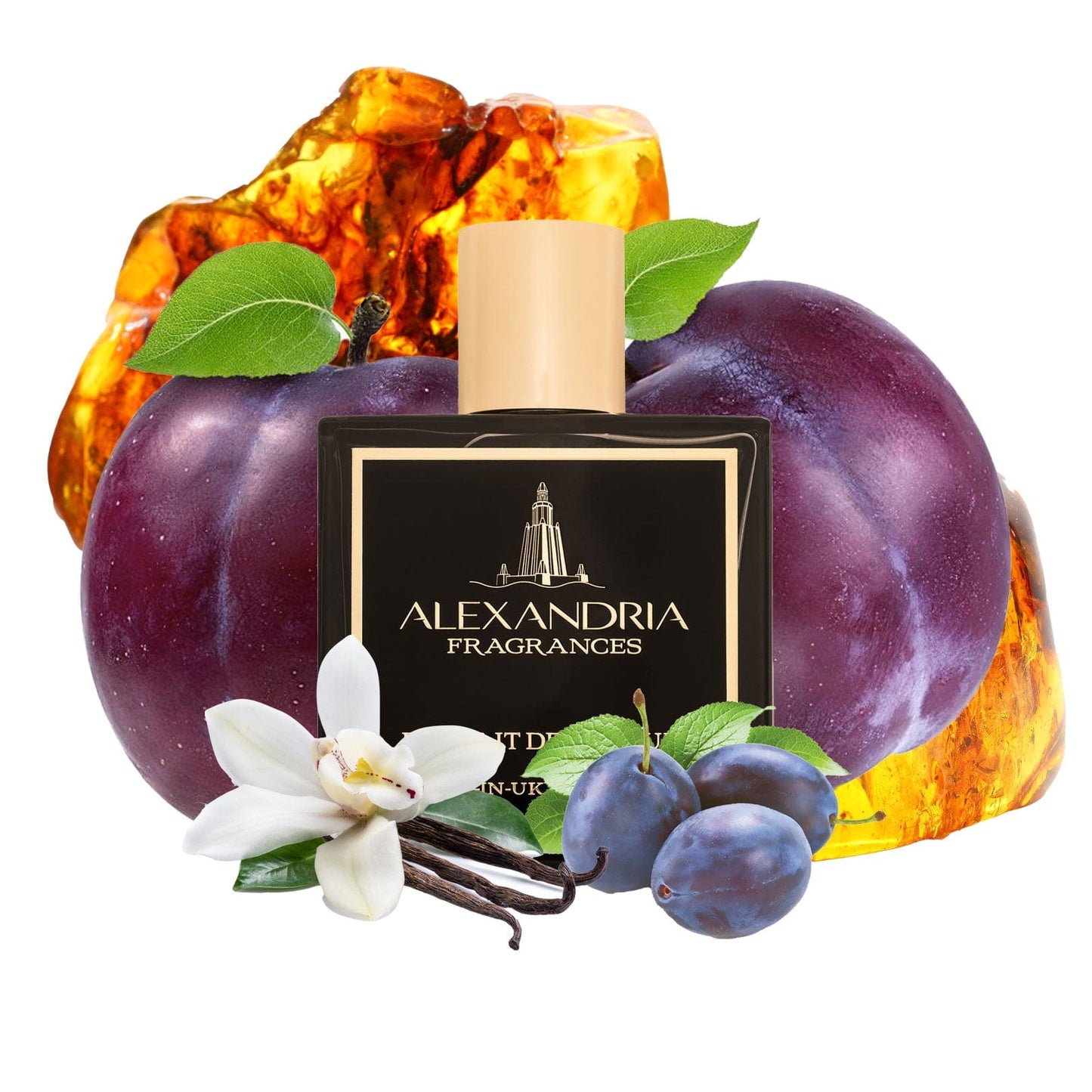 Forbidden Plum Inspired By Tom Ford's Plum Japonais | Dupe | Clone | Alternative | Luxury | Quality | Copy Extrait de Parfum