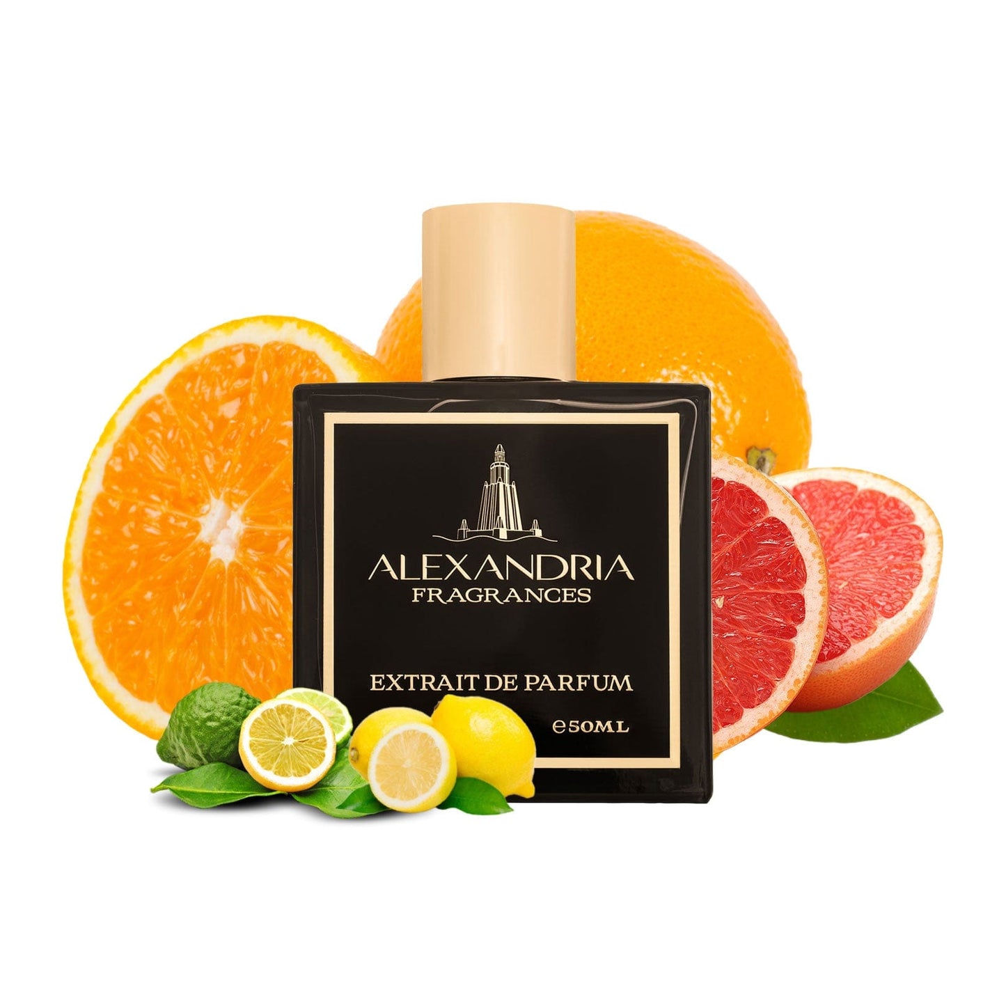 Isola D’Santorini Inspired By Isola Blu by Roja Dove | Dupe | Clone | Alternative | Luxury | Quality | Copy Extrait de Parfum