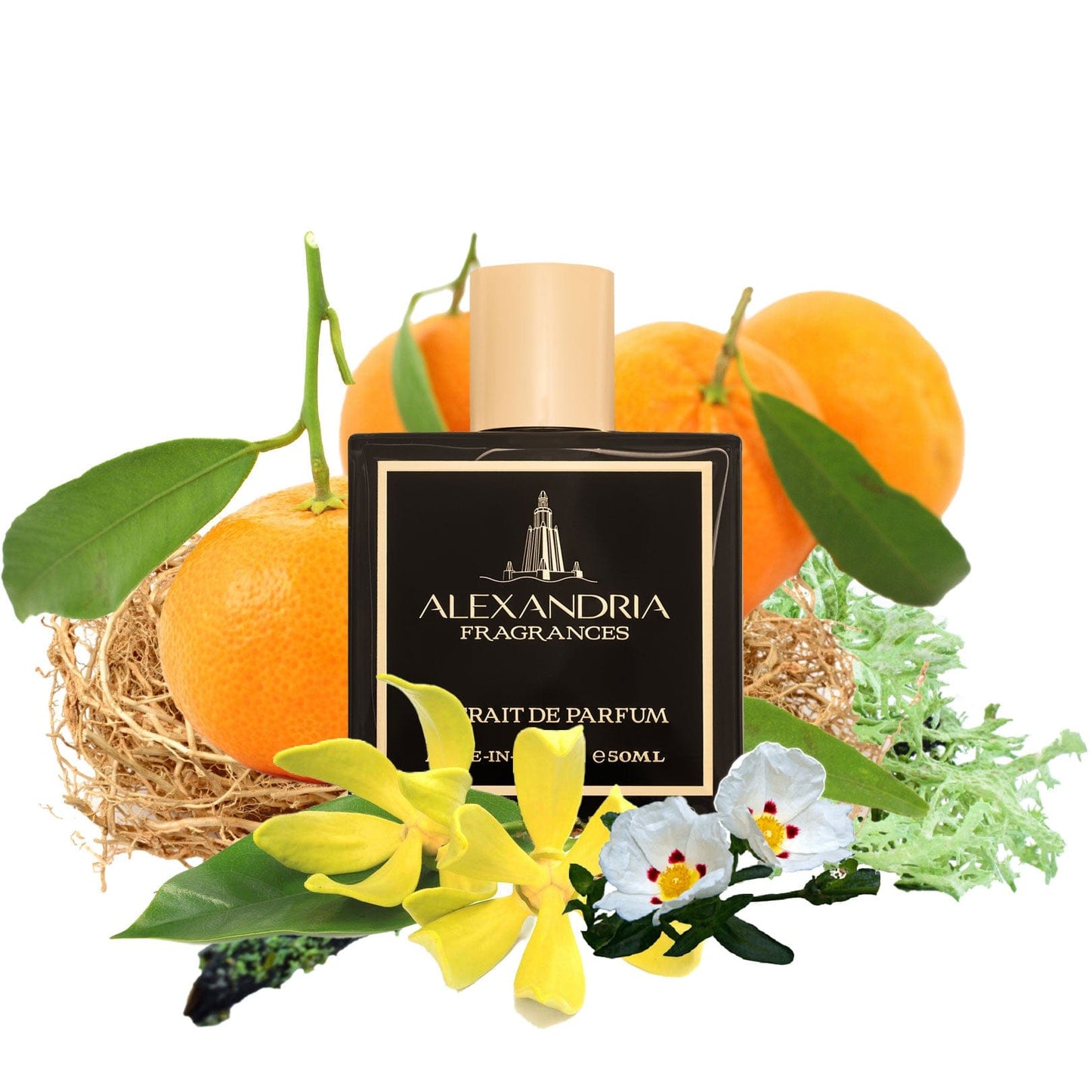 Malibu Beach Inspired By Amouage Beach Hut | Dupe | Clone | Alternative | Luxury | Quality | Copy Extrait de Parfum