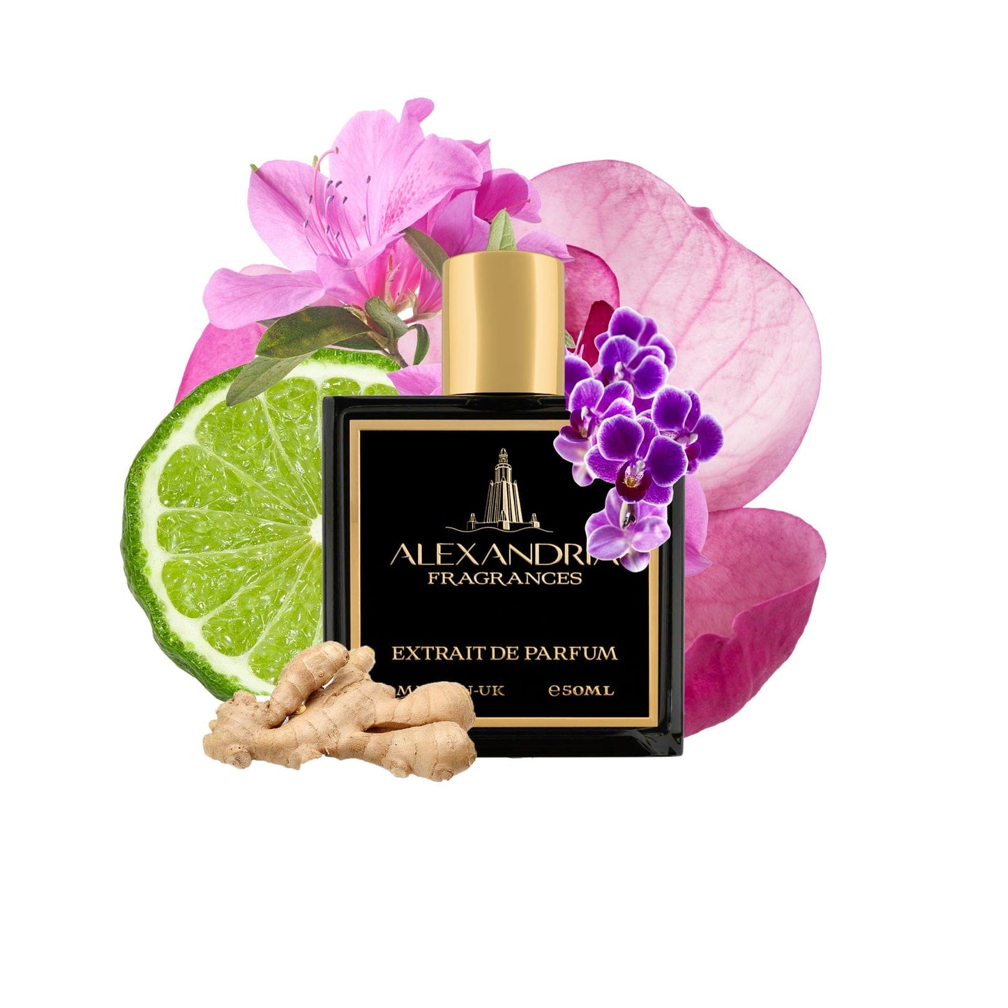Mi Amor Inspired By LV Lovers | Dupe | Clone | Alternative | Luxury | Quality | Copy Extrait de Parfum