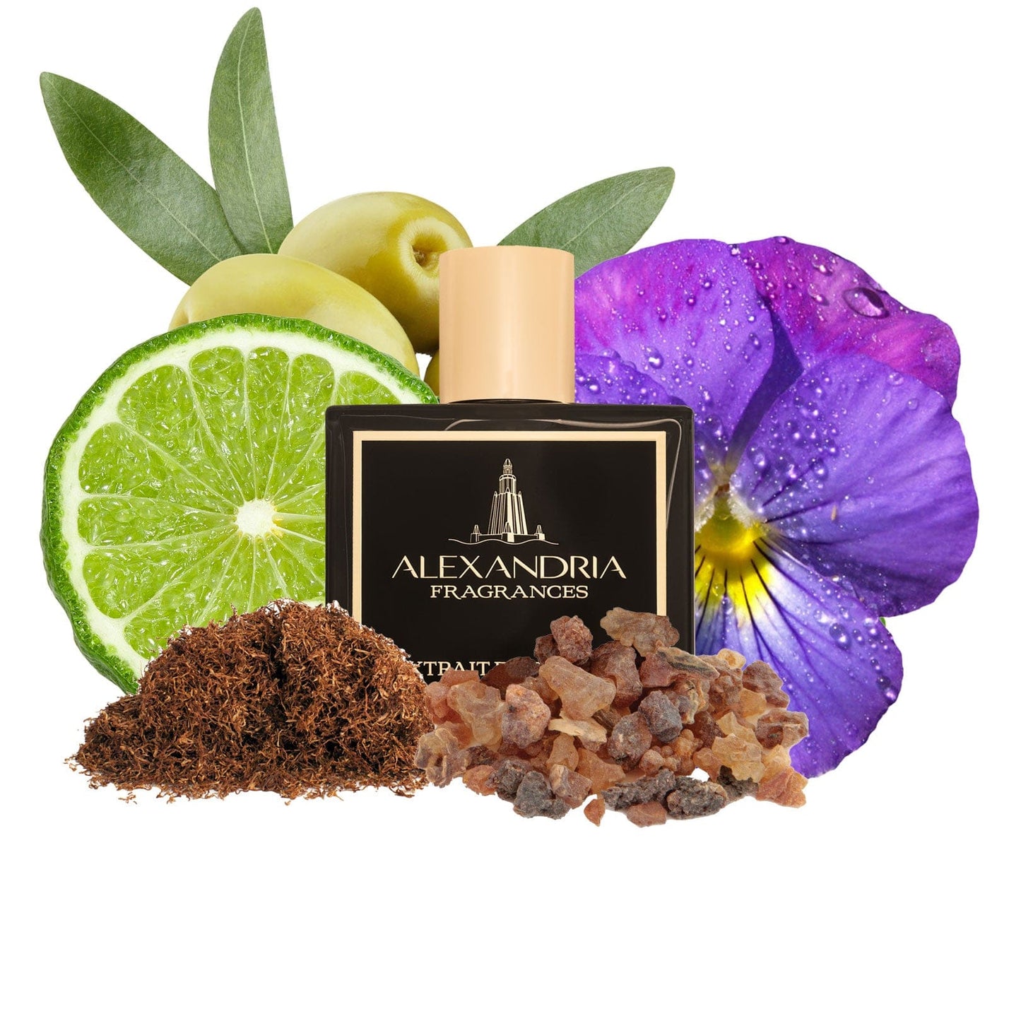 The Pour Homme II Inspired By Gucci Pour Homme II  | Dupe | Clone | Alternative | Luxury | Quality | Copy Extrait de Parfum