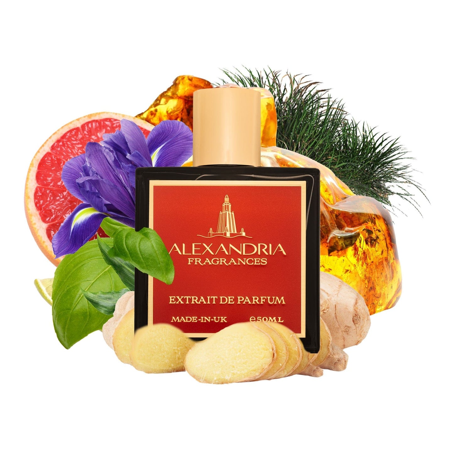 Work Hard Stay Humble Original Creation