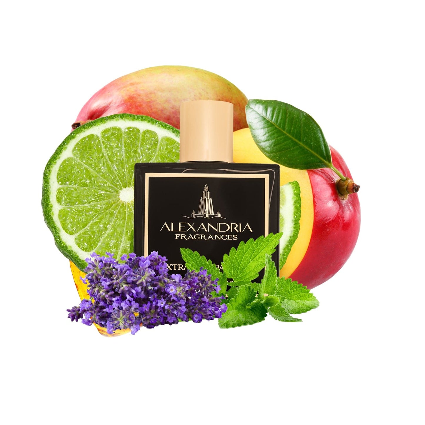 Barricade Inspired by Mind Games Blockade | Dupe | Clone | Alternative | Luxury | Quality | Copy Extrait de Parfum