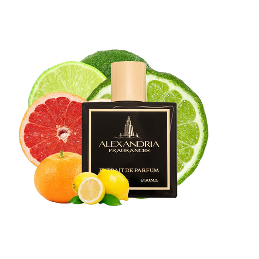 Bleu Oceanic Inspired by Roja's Oceania | Dupe | Clone | Alternative | Luxury | Quality | Copy Extrait de Parfum