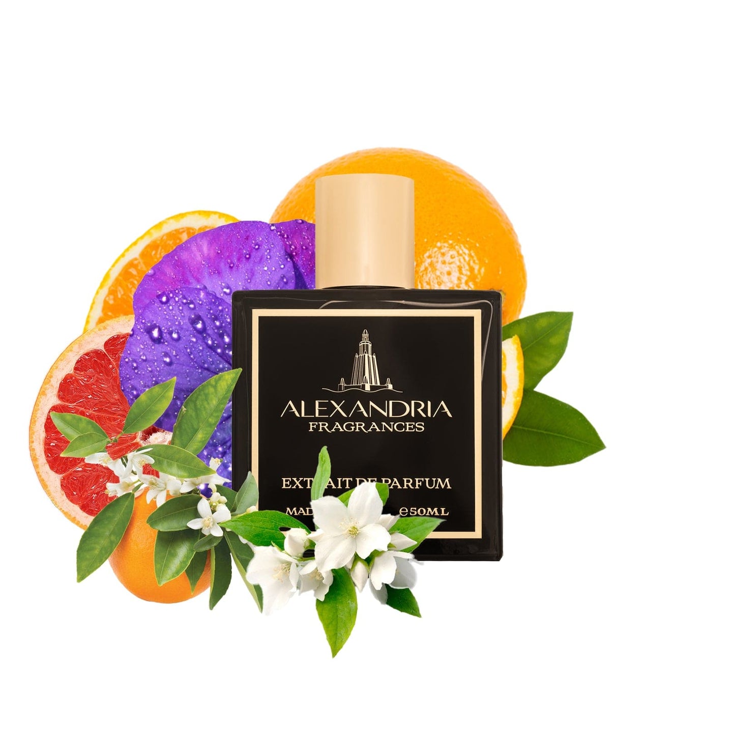 Dear Gabby Inspired By Chanel's Gabrielle | Dupe | Clone | Alternative | Luxury | Quality | Copy Extrait de Parfum