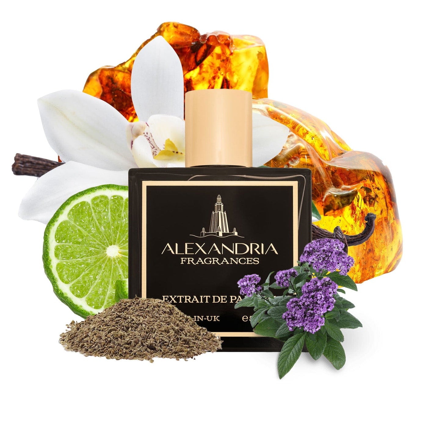 Greek Horse Inspired By Pegasus By Parfums De Marly | Dupe | Clone | Alternative | Luxury | Quality | Copy Extrait de Parfum