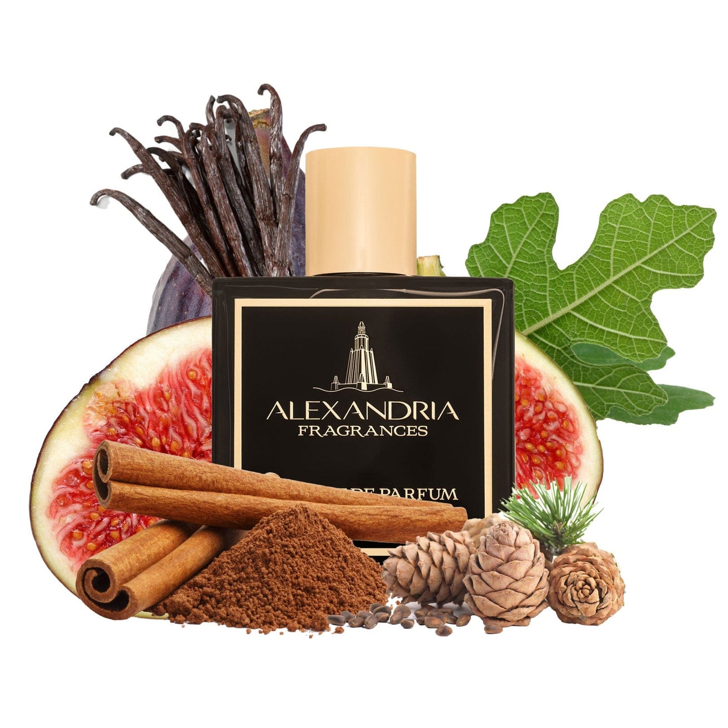 HAFEZ Exclusive Origninal Creation