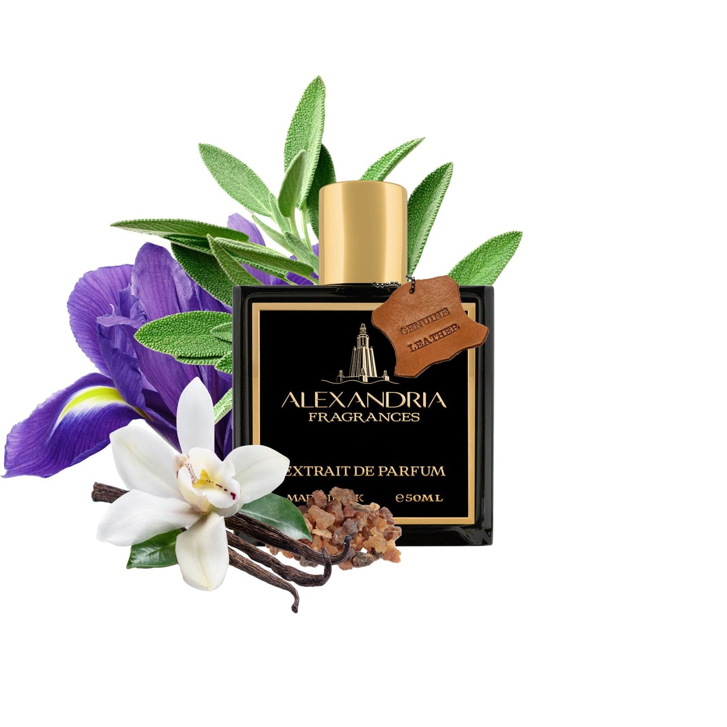 Rome Inspired By Leathered By Memo Italian Leather | Dupe | Clone | Alternative | Luxury | Quality | Copy Extrait de Parfum