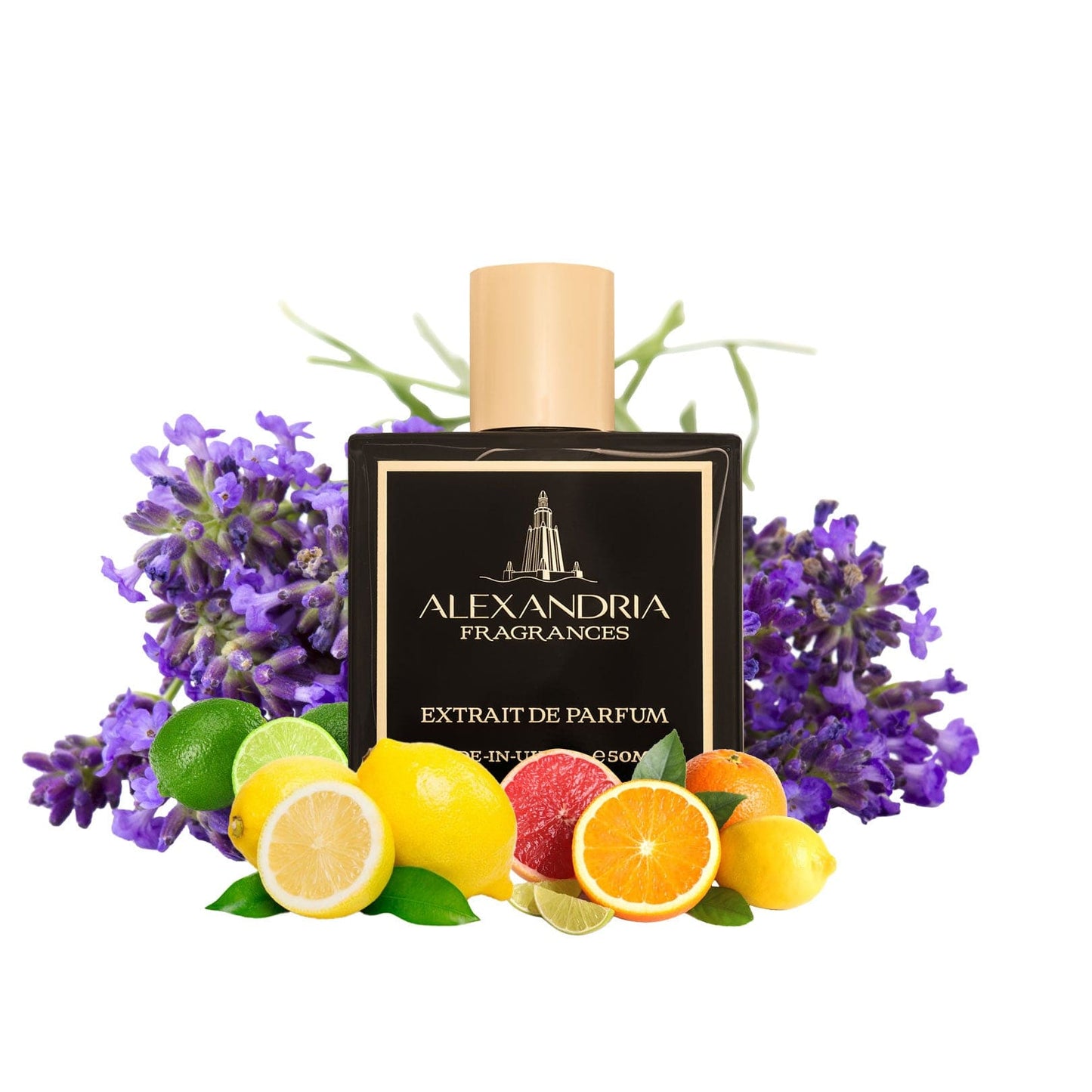 Scandalous Inspired By Roja Dove's Scandal Eau De Parfum | Dupe | Clone | Alternative | Luxury | Quality | Copy Extrait de Parfum