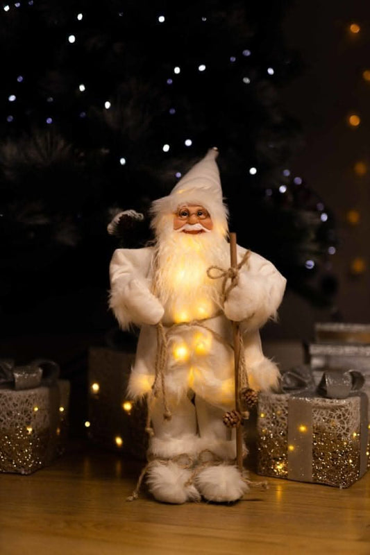 Santa Claus Light Up Standing Figure LED Decoration